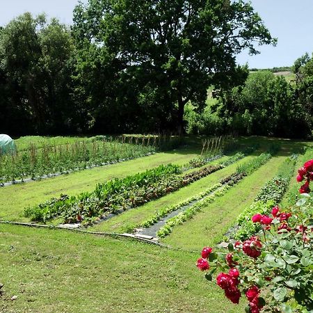 세사노 Madonnella Agricola 빌라 외부 사진